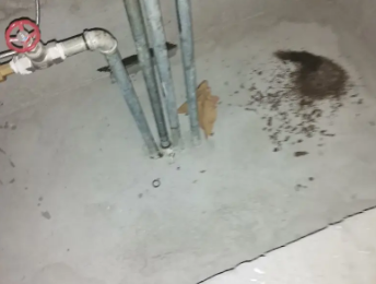 固始卫生间测漏水价格明细